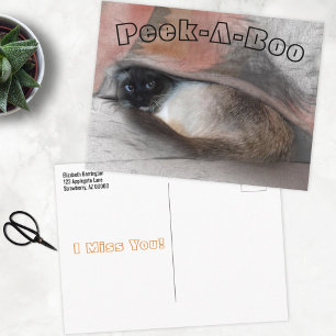 Carte Postale Peek-A-Boo I Miss You Siamese Kitten Under Blanket
