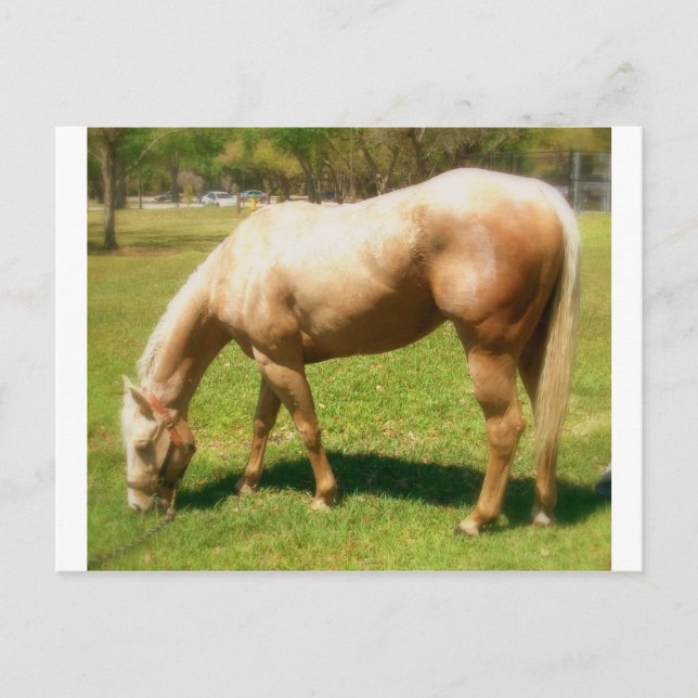 Carte Postale Peindre (Devant)