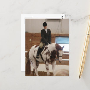 Carte Postale Peindre un cheval à un spectacle de chevaux