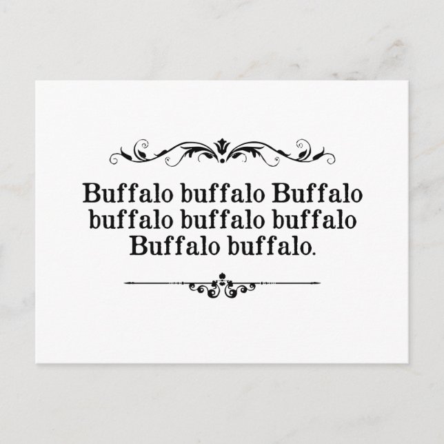 Carte Postale Peine de Buffalo Buffalo (Devant)