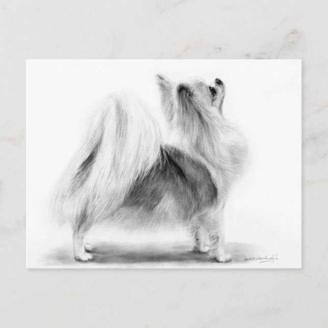 Carte Postale Peint à la main Elégant long Haired Chihuahua (Devant)