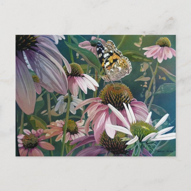 Carte Postale Peint Lady Papillon Conflowers Aquarelle Art (Devant)