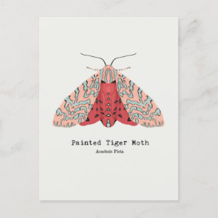 Carte postale Peint Tiger Moth