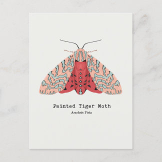 Carte postale Peint Tiger Moth