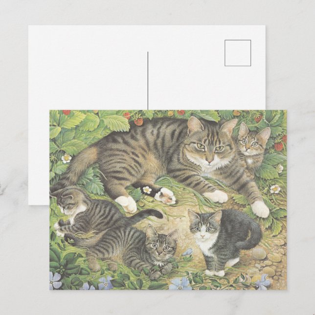 CARTE POSTALE PEINTE CAT (Devant / Derrière)