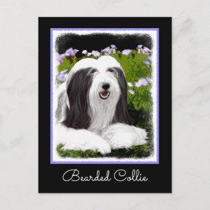 Carte Postale Peinture à collie à poils - Joli art original de c