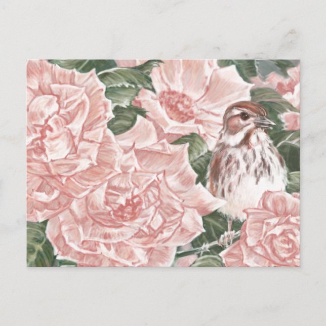 Carte Postale Peinture à fleur de moelle et de roses roses roses (Devant)