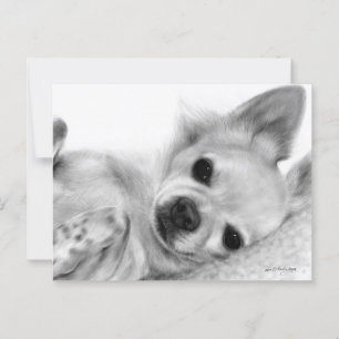 Carte Postale Peinture à la main Repos Chihuahua