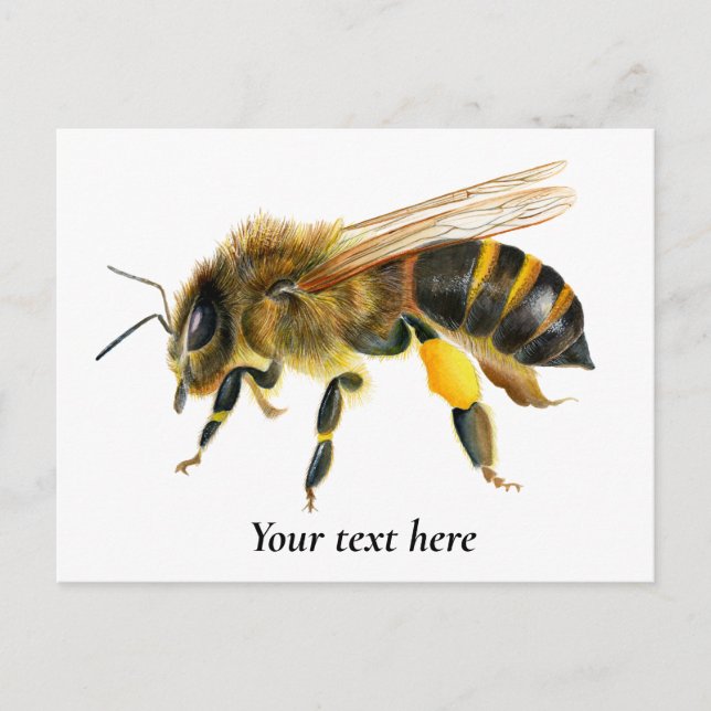 Carte Postale Peinture à l'aquarelle d'abeille à miel (Devant)