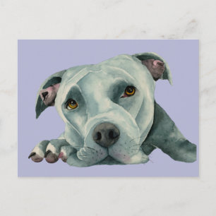Carte Postale Peinture à l'aquarelle de Chien-taureau doux