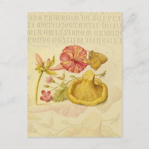 Carte Postale Peinture à l'aquarelle des champignons papillons