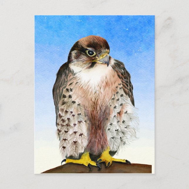 Carte postale Peinture à l'aquarelle d'oiseaux de  (Devant)