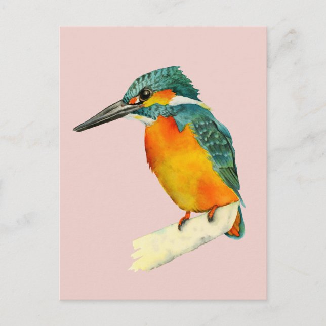 Carte Postale Peinture à l'aquarelle Kingfisher Bird (Devant)