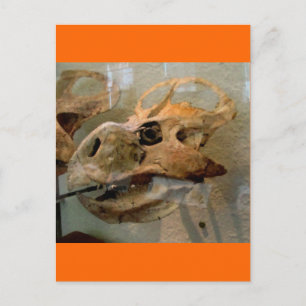 Carte Postale Peinture à l'huile de crâne Dino