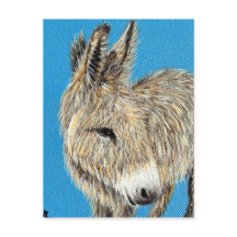 Peinture amicale pour âne