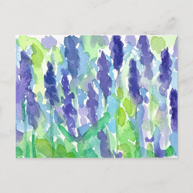 Carte Postale Peinture aquarelle du jardin de lavande (Devant)
