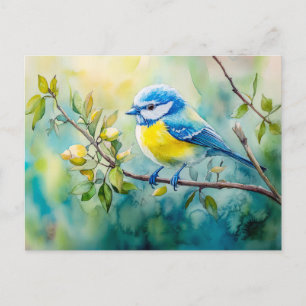 Carte Postale Peinture aquarelle mésange bleue sur une branche