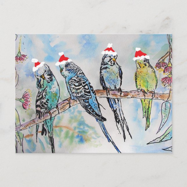 Carte Postale Peinture aquarelle Perruche oiseau Perruches Noël (Devant)