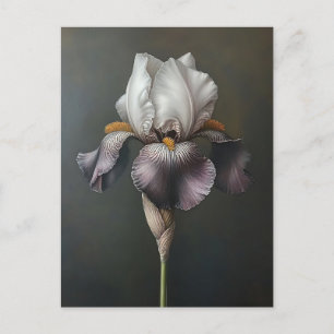 Carte Postale Peinture botanique en Iris violet et blanc
