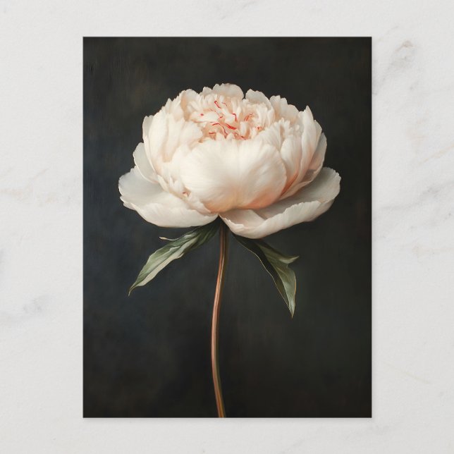 Carte Postale Peinture botanique rose pâle (Devant)