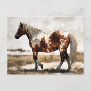 Carte postale Peinture Cheval Pinto Mustang