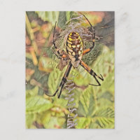 Peinture d'aquarelle de l'araignée de Jardin noir 