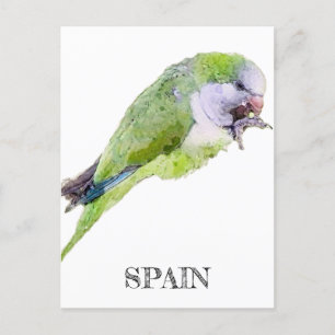 Carte Postale Peinture d'aquarelle de perroquet vert
