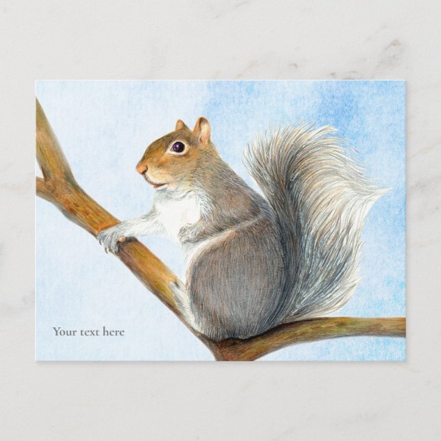 Carte postale Peinture d'aquarelle d'écureuil gris (Devant)