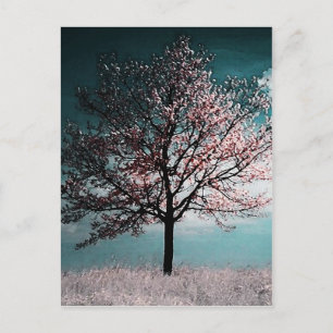 Carte Postale Peinture d'arbre de fleurs de cerisier - Poussard
