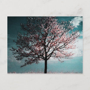 Carte Postale Peinture d'arbre de fleurs de cerisier - Poussard