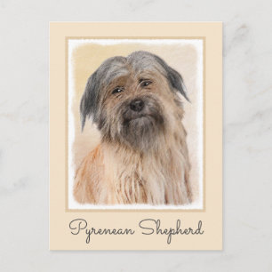 Carte Postale Peinture de berger pyrénéenne - Cute Original Chie