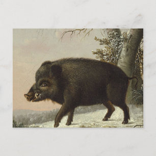 Carte Postale Peinture de chasse Brown vintage, Art de la faune