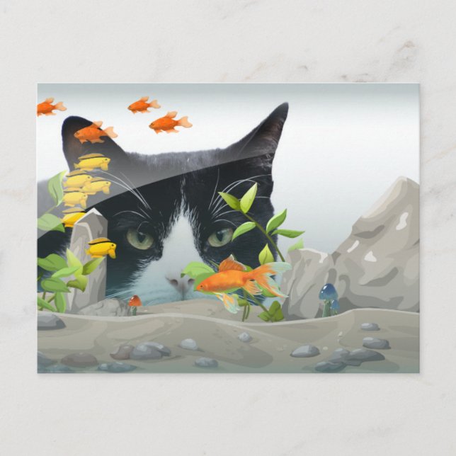 Carte Postale Peinture de chat dans le réservoir de poisson Phot (Devant)