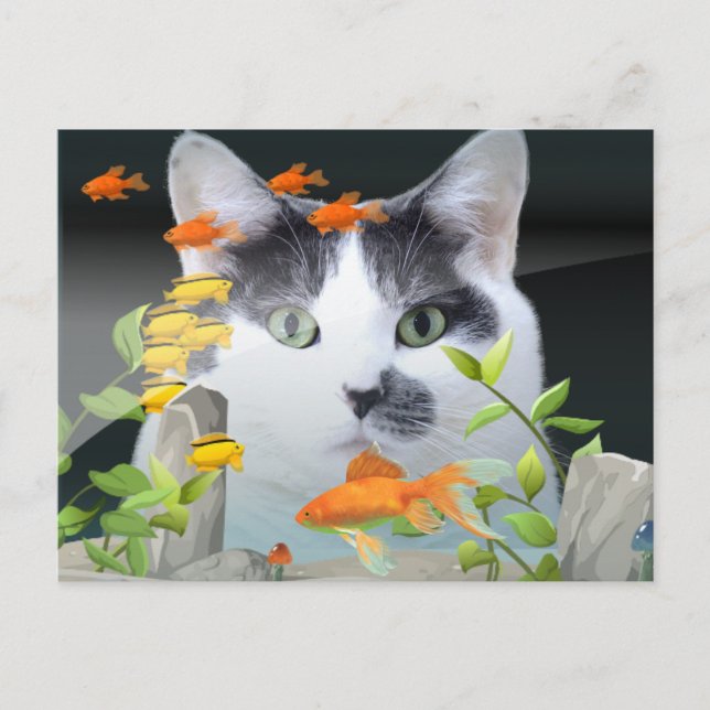 Carte Postale Peinture de chat dans un réservoir de poisson (Devant)