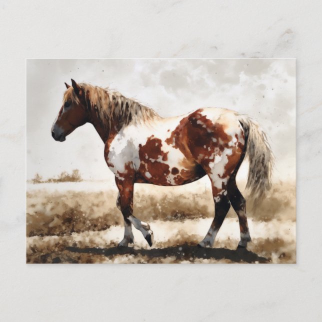 Carte Postale Peinture de cheval Mustang (Devant)