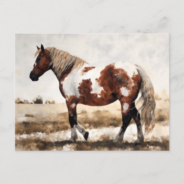 Carte Postale Peinture de cheval Mustang Pinto (Devant)