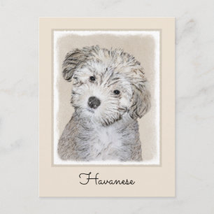 Carte Postale Peinture de Chien Havanais - Cute Original Chien A
