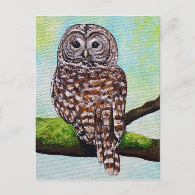 Carte Postale Peinture de Chouette barrée (Devant)