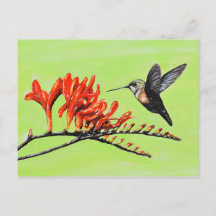 Carte Postale Peinture de colibri et de crocosmia