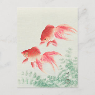 Carte Postale Peinture de deux voiles de poisson d'or par Ohara 