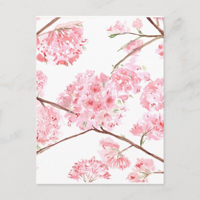 Carte Postale Peinture de fleurs roses de cerisier en fleurs (Devant)