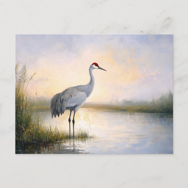 Carte Postale Peinture de grue de Sandhill (Devant)