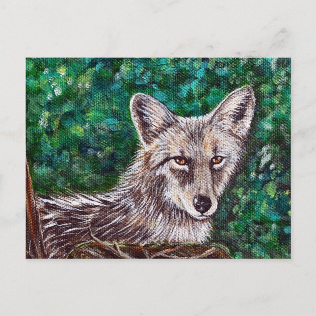 Carte Postale Peinture de jardin Coyote (Devant)
