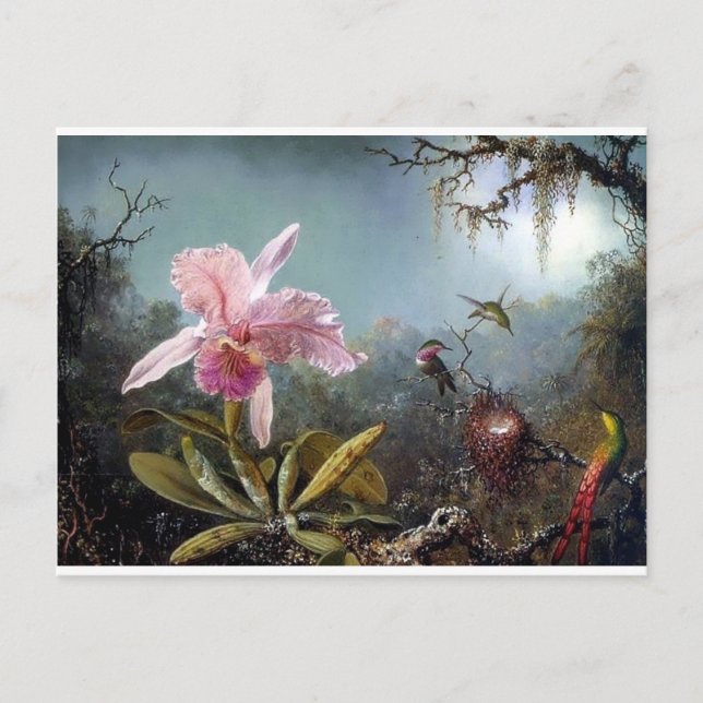 Carte Postale Peinture de la forêt tropicale des orchidées de co (Devant)