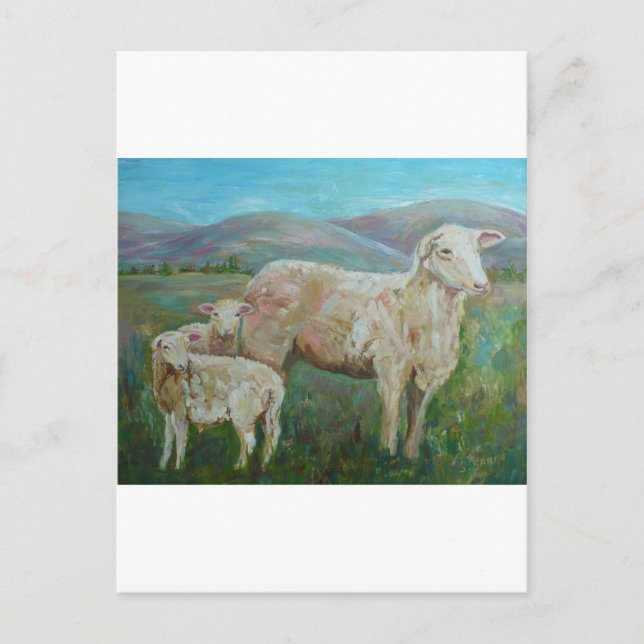 Carte Postale Peinture de moutons (Devant)