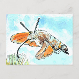 Carte Postale Peinture de papillon de colibri
