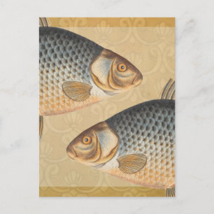 Carte Postale peinture de pêche de carpe dessin d'eau douce 