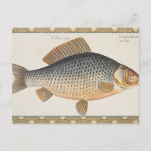 Carte Postale peinture de pêche de carpe dessin d'eau douce