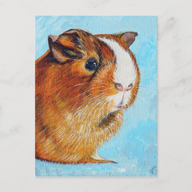 Carte Postale Peinture de porc de Guinée (Devant)