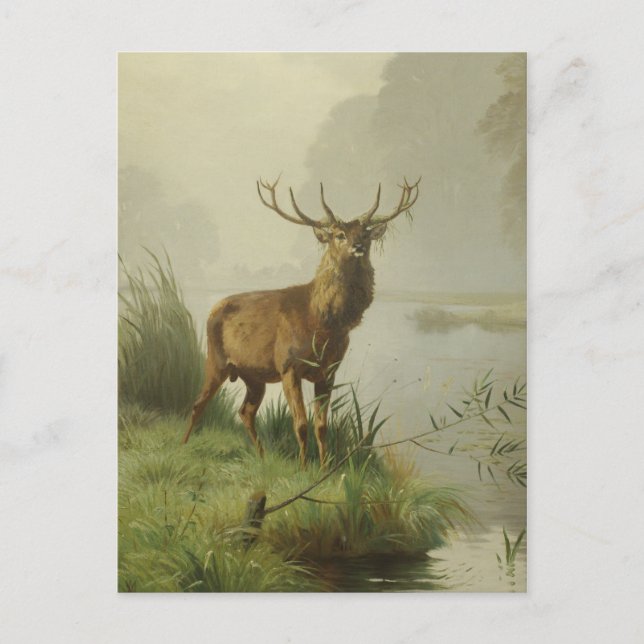 Carte Postale Peinture de Red Deer (Devant)